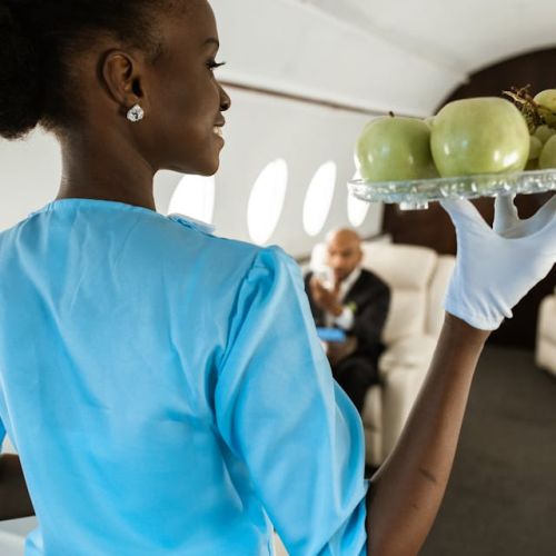 stewardess service hospitality school
